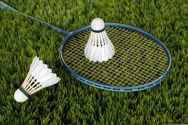 badminton pic